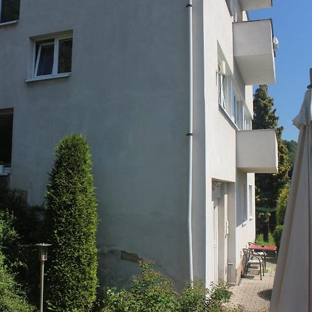 Privat Zelezny Brod Lägenhet Exteriör bild